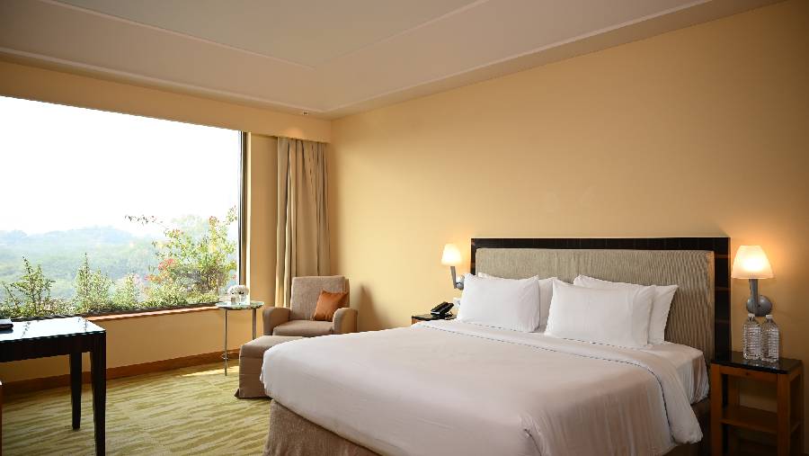 Luxurious Rooms in Delhi